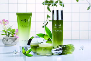 進(jìn)口化妝品 配方合規(guī)、專業(yè)物流與清關(guān)流程全解析